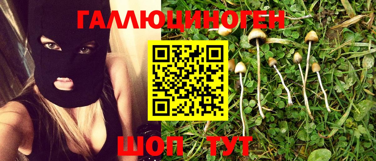 Полевской  Псилоцибиновые грибы Cubensis  сколько стоит  Галлюциногенные грибы прущие грибы  Вход с VPN 